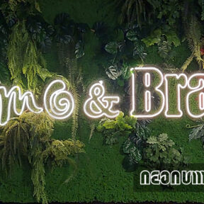 Fumo & Brace